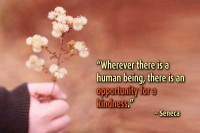 /album/think-positive-info/seneca-3-jpg/